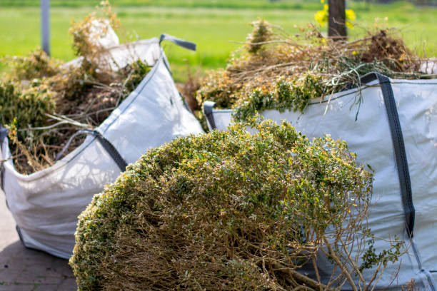 Best Same-Day Junk Removal Services  in Pierson, FL